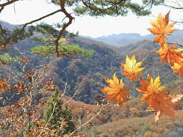 绍兴独家分享医保卡余额怎样查询?的渠道(找谁办理绍兴医保卡的余额怎么查？)