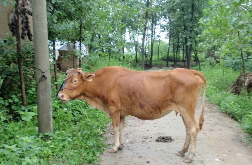 绍兴最新求一个套医保卡的黄牛是真的吗方法分析(最方便真实的绍兴求一个套医保卡的黄牛是真的吗还是假的方法)